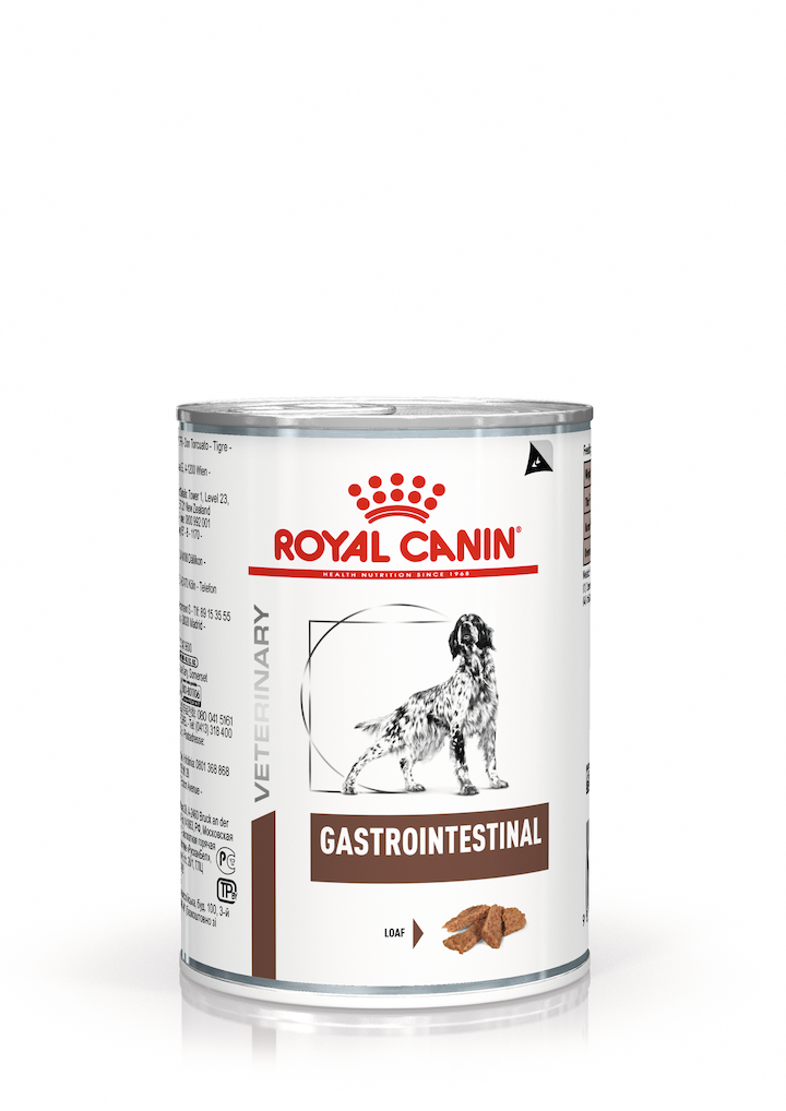 Royal Canin GASTROINTESTINAL DOG (паштет)