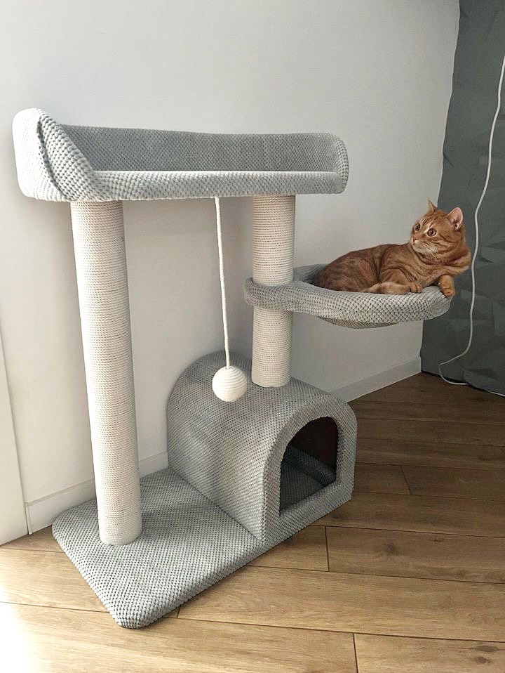 Комплекс для котів Корат