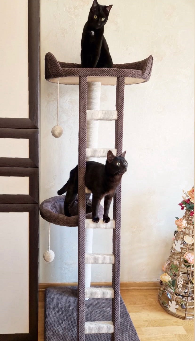 Комплекс для котів Скелелаз