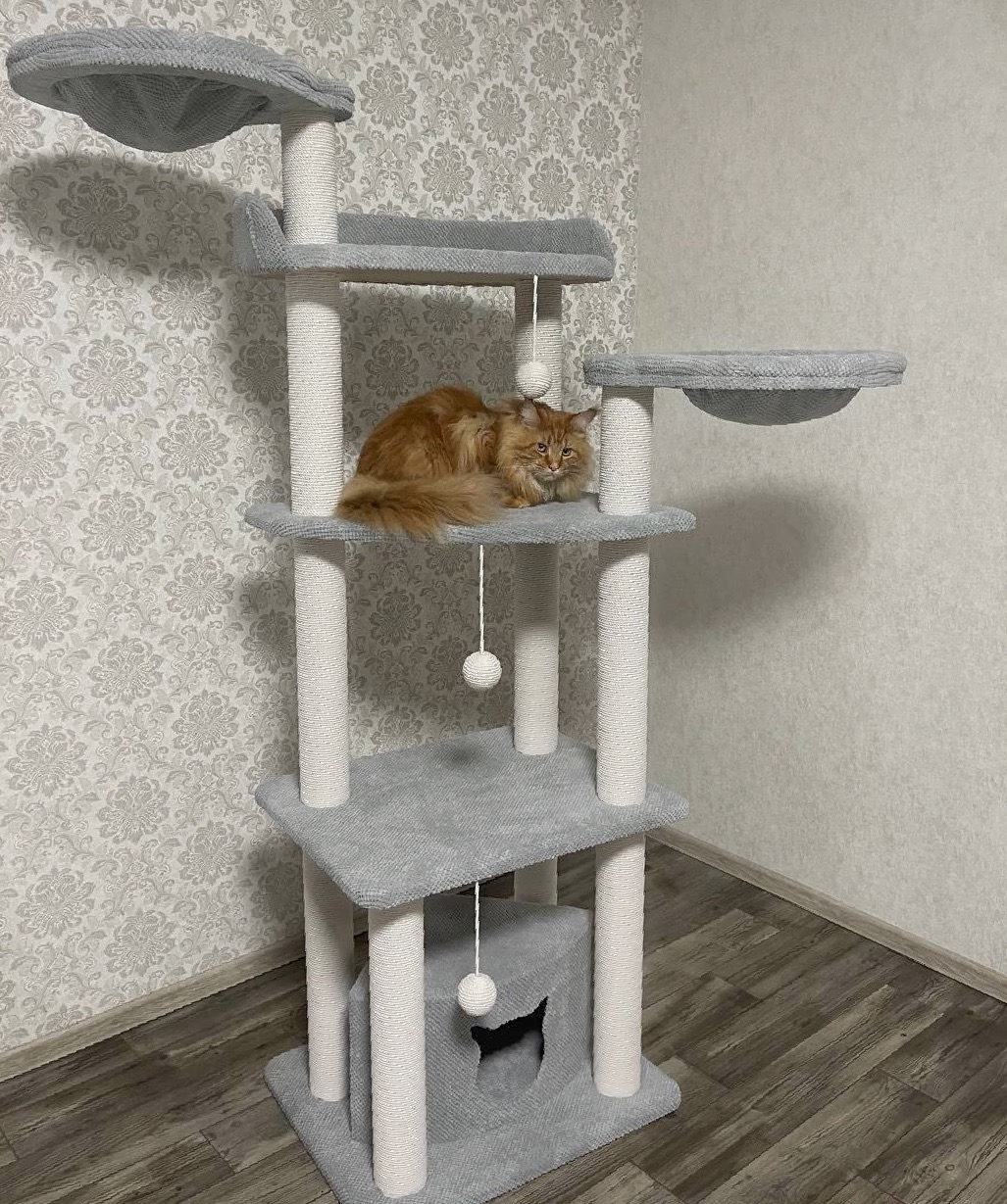 Комплекс для котів Мейнкун
